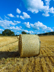 A picturesque bale of hay rests in a serene countryside beneath a bright blue sky with fluffy...