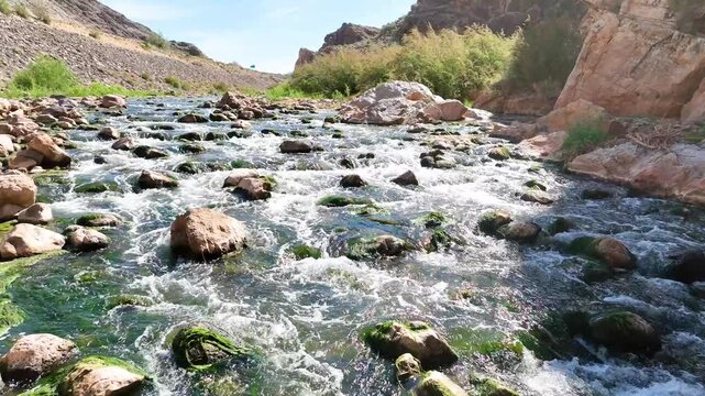 Fly Through Virgin River Rocky Canyon Water Landscape With Lush Vegetation