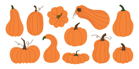Orange pumpkin collection. Hand-drawn fall vegetables in various shapes. Cute autumn set perfect for Thanksgiving, Halloween, seasonal design. Flat vector illustration isolated on white background.