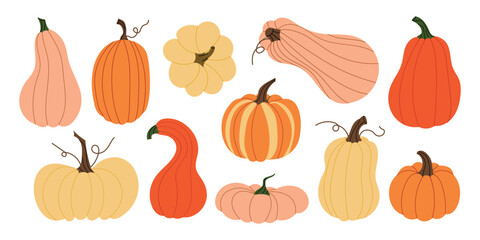 Pumpkin collection. Hand-drawn autumn gourds and squashes in various natural shapes. Fall illustration for seasonal decor, Thanksgiving, farm design. Vector set isolated on white background.