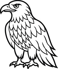 Fototapeta premium Vector illustration of a wild eagle's head, a symbol of freedom and nature, with its powerful beak and sharp eyes, isolated on a white background