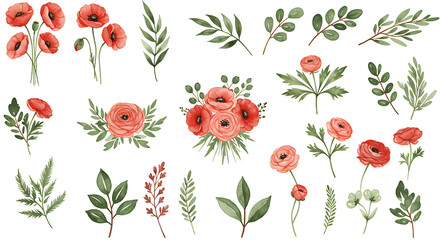 Watercolor red orange flowers and greenery botanical illustrations