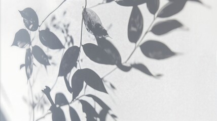 black and white background