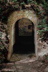 Mysterious overgrown tunnel with a rounded brick entrance and dim interior, evoking hidden paths...