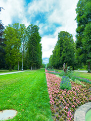 A scenic pathway winds through a vibrant park filled with colorful flowers, contrasting the...