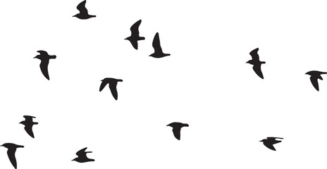 Flock of black birds flying across white background silhouette