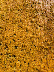 The textured surface of natural rock features unique patterns and warm tones, capturing its organic...