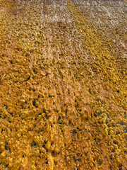 A breathtaking closeup image showcasing an exquisite textured orange surface, revealing its remarkable natural patterns and oneofakind characteristics that are truly captivating and fascinating