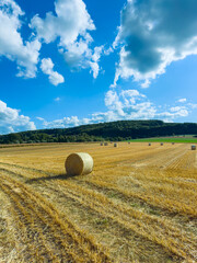 Golden fields stretch under a colorful sky with fluffy clouds. Scattered hay bales invite...