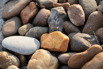 Spectrum Eyes: Still Stones with Vibrant Earth Tones
