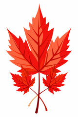 red maple leaf