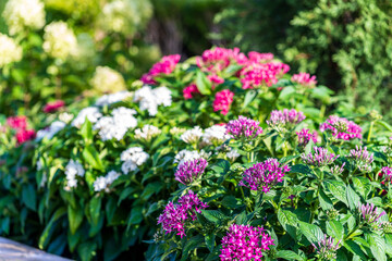 Obraz premium Landscaping, Lawn and Garden