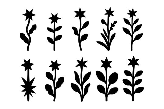Silhouette starflower collection: elegant black botanical designs