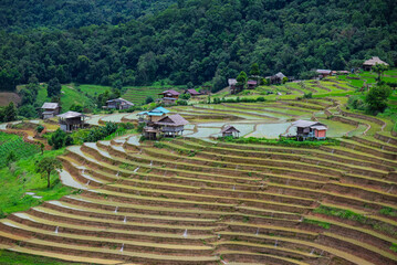 Beautiful landscape in the morning, rice terraces, Ban Pa Pong Piang Homestay, Chiang Mai, Thailand