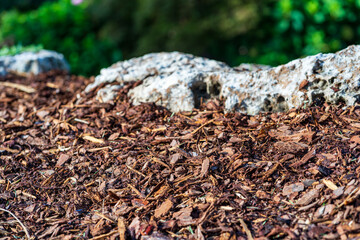 Landscaping, Lawn and Garden