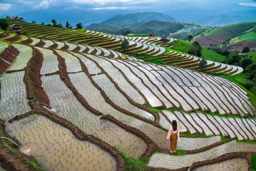Beautiful landscape in the morning, rice terraces, Ban Pa Pong Piang Homestay, Chiang Mai, Thailand