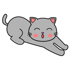gray cat