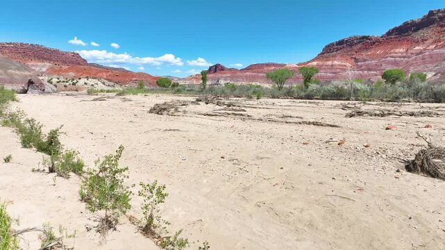 Aerial Desert Wash Red Rock Formations and Cottonwood Trees Fly Through