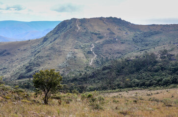 Transition scene, savannah and Atlantic Forest with mountains in the background. 
Minas Gerais, Brazil