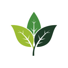 Three Green Leaves Sprouting Vector Illustration for Environmental and Natural Concepts