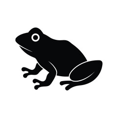 frog on white background