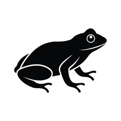 frog on a white background