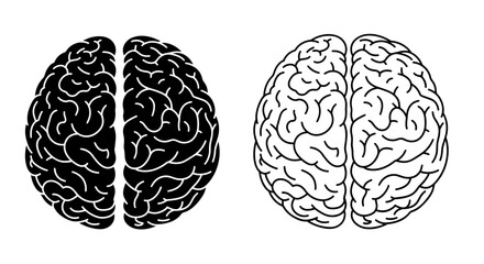 Illustration showing two brains one in black and one in white on a white background