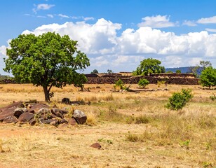 African savanna landscape with ancient stone walls