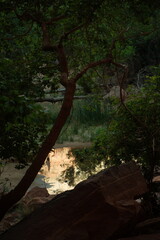 Fototapeta premium Beautiful reflective water at emerald pools hike zion national park utah during sunset golden hour