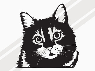Obraz premium Detailed Black and White Fluffy Cat Face Illustration with Large Eyes and Diagonal Stripe Accents for Pet Portrait Art