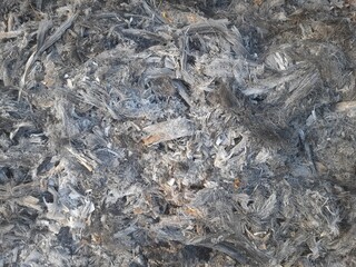 Close-up view of burnt wood ash with visible fibrous textures, showing shades of grey, white, and...
