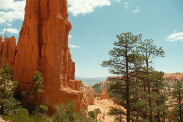 Giant rock spire and natural red rock hoodoos and tall trees in Navajo Trail and combination loop...