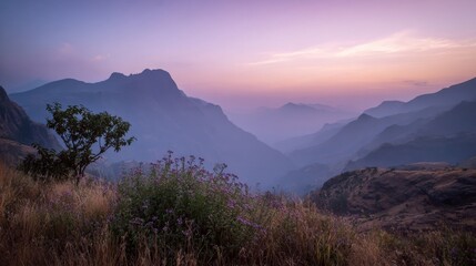 Obraz premium Serene Sunset over Misty Mountains and Purple Flowers