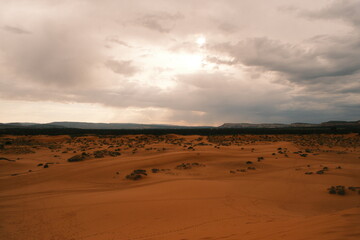 coral pink sand dunes on cloudy day
