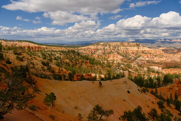 Giant rock spire and natural red rock hoodoos at Bryce Canyon National Park Utah in summer during sunset golden hour