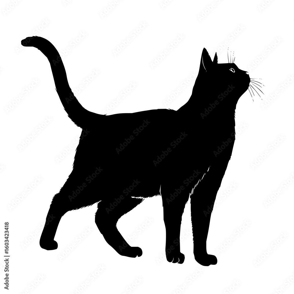 Poster silhouette of a cat standing with its tail up and looking to the right side on a white background vi