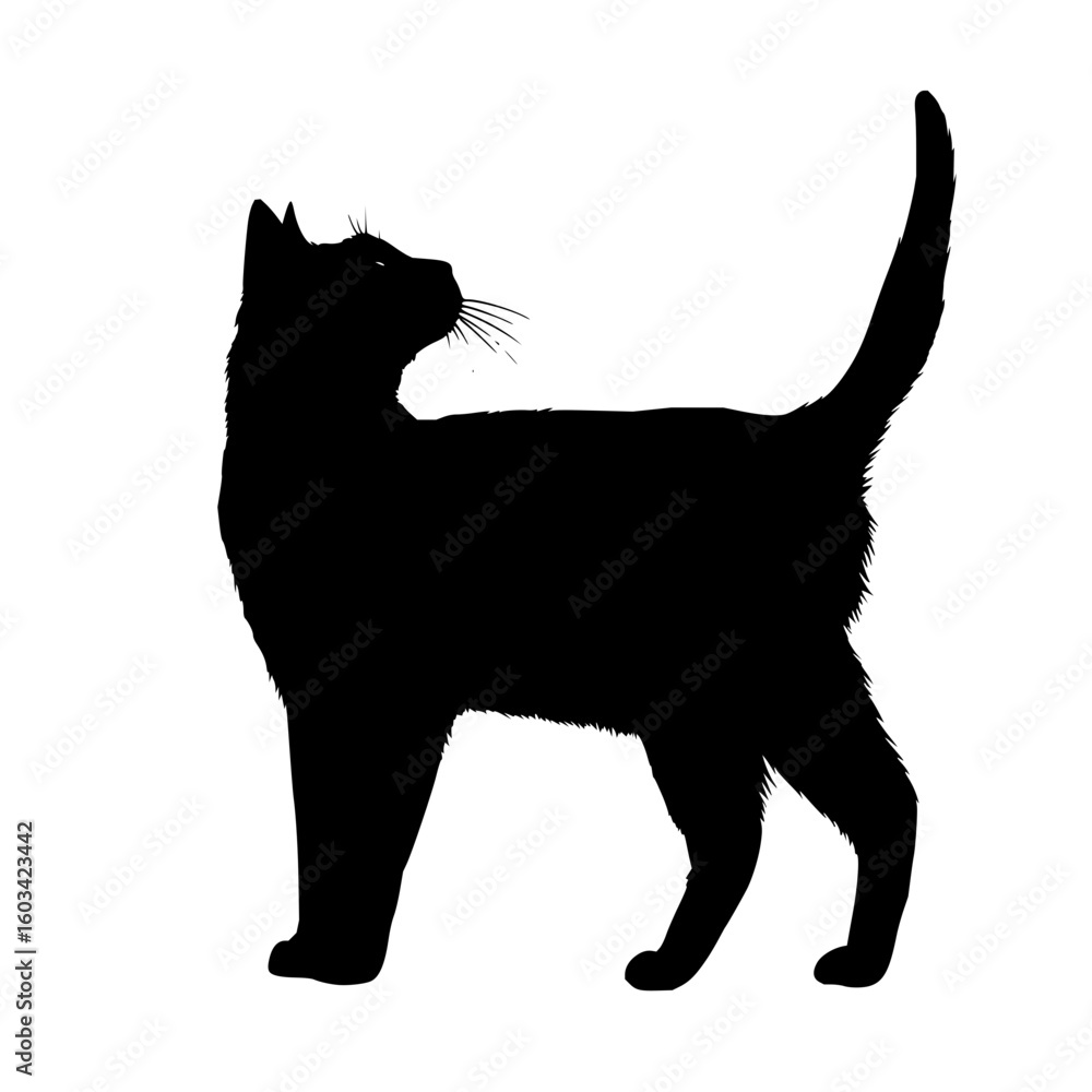 Poster silhouette of a cat standing with its tail up and looking to the left with a white background image