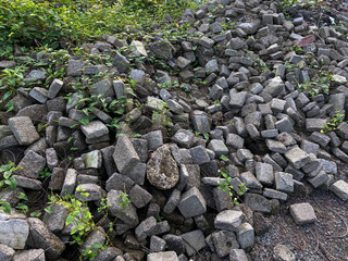 Pile of left over pavers, flooring or concrete block paving, cube shape, with green vines