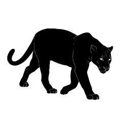 Obraz premium Vector image of a black panther walking in an urban setting