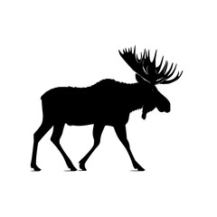 Fototapeta premium Silhouette of a moose