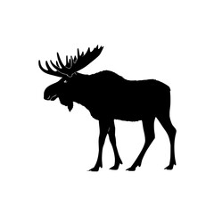 Silhouette of a moose crossing a city street