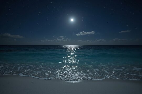 Tranquil moonlit beach night; ocean waves, stars