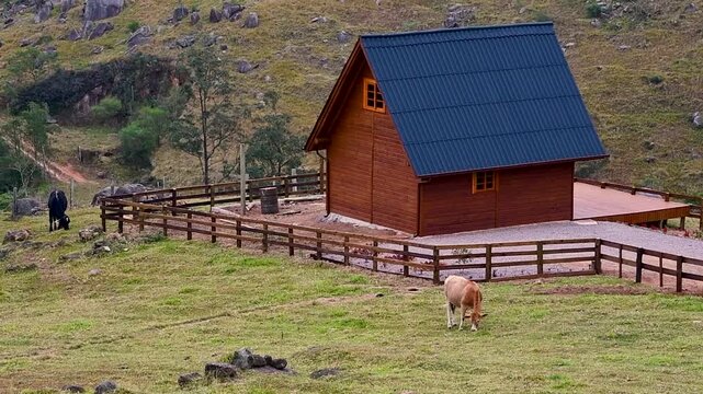 Casa de Campo Aconchegante com Gado Pastando na Serra Brasileira