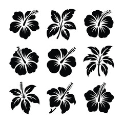 Exotic Floral Design Elements with Hibiscus and Leaf Vector Set