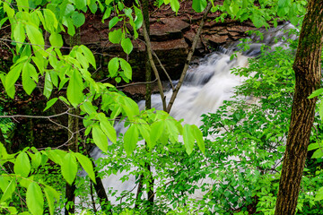 Indian Run Falls in Spring, Dublin, Ohio