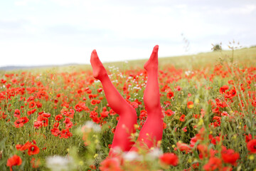 Woman in red tights among poppy flowers in wildflower meadow, closeup