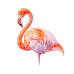 Fototapeta premium Flamingo, vibrant colors, abstract style