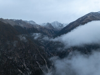 Naklejka premium Aerial view of beautiful forest and snowcapped mountain landscape in tibet, China
