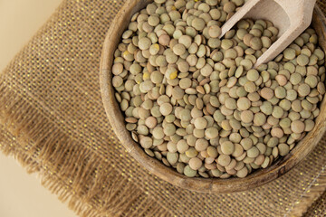 Green lentil in neutral beige background copy space. Whole spelt grain species. High protein fiber-rich vegan plant based food ingredient. Gluten free superfood healthy nutritional dietary alternative