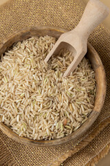 Brown rice in neutral beige background copy space. Whole spelt grain species. High protein...